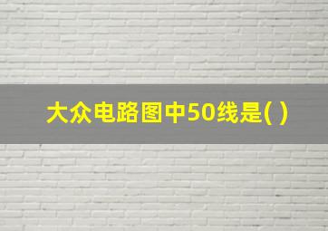 大众电路图中50线是( )